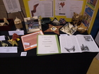 p6281861.jpg
