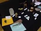 p6281899.jpg