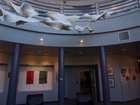 P8016671.JPG